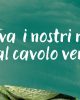 Prova i ravioli al cavolo verza Destefano