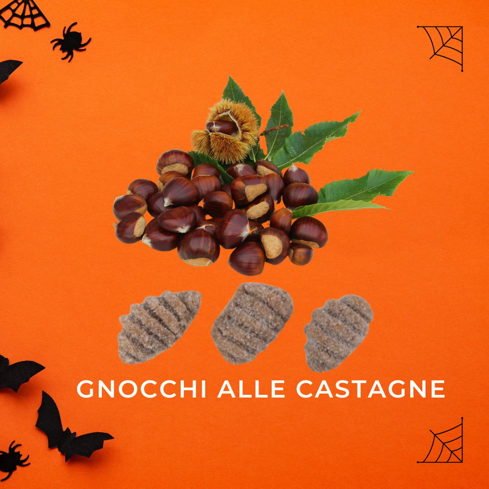 Gnocchi alle castagne - Pastificio Destefano Bollengo - Ivrea